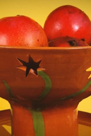 Frutero Temporada de Mangos 2
