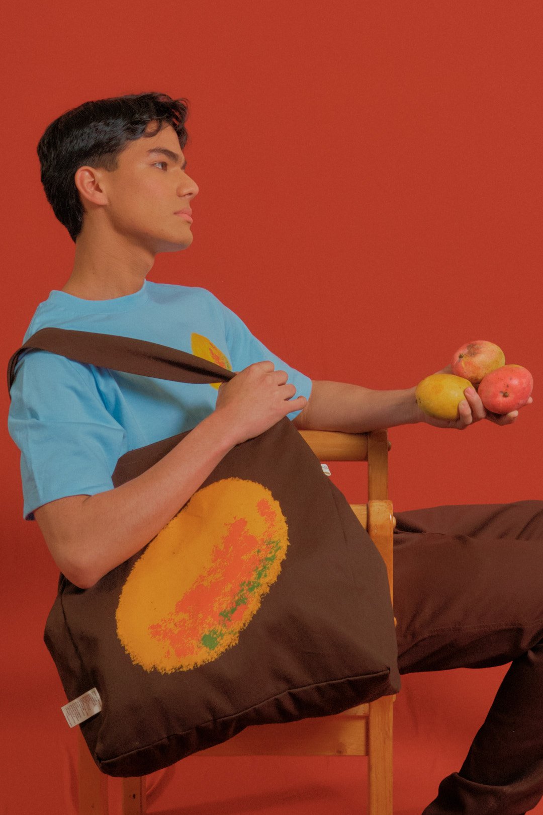 Tote Bag Temporada de Mangos
